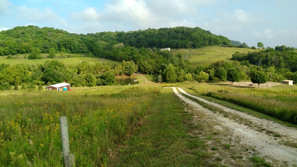 Picture of trees and lane