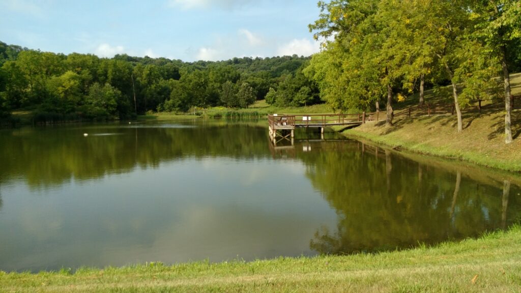 Dock on pond