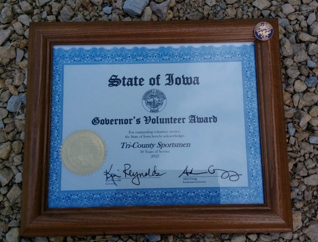 picture of Govenor's volunteer award