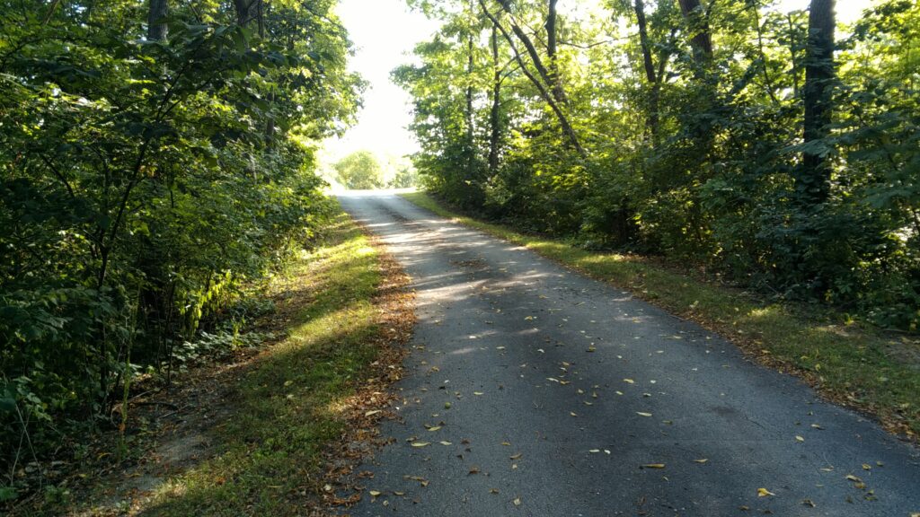 Picture of country lane