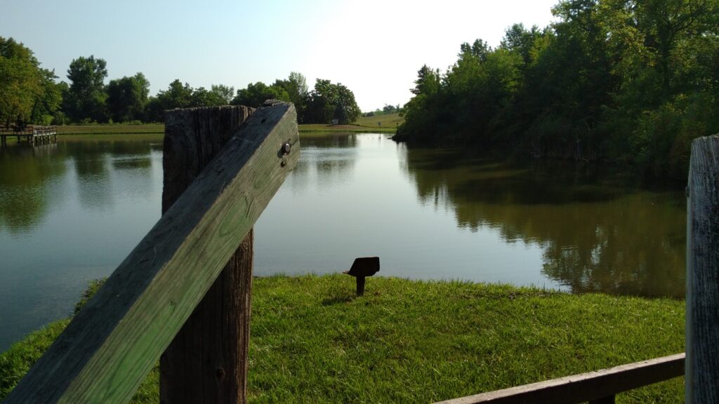 Pond pictures