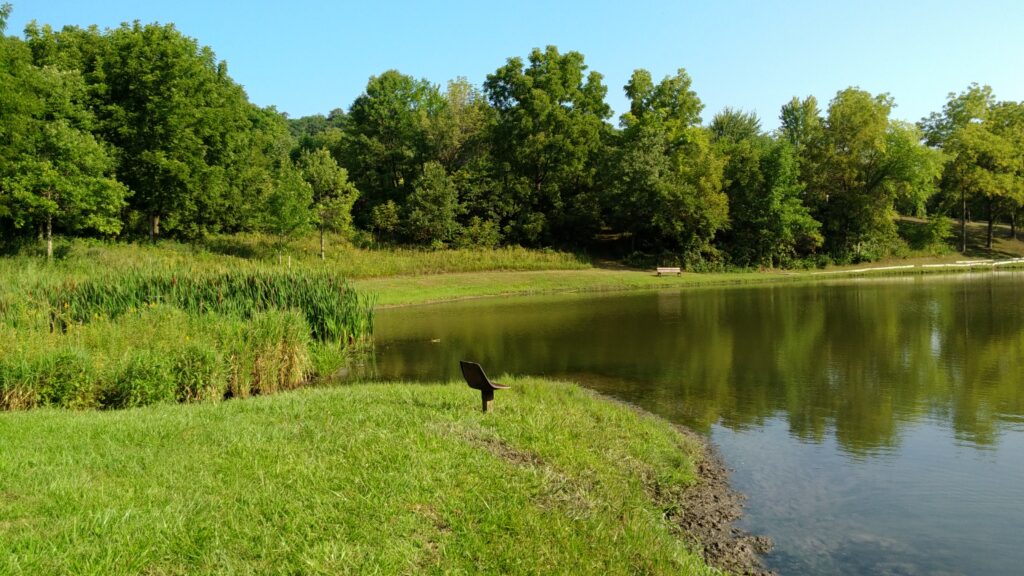 Pond pictures