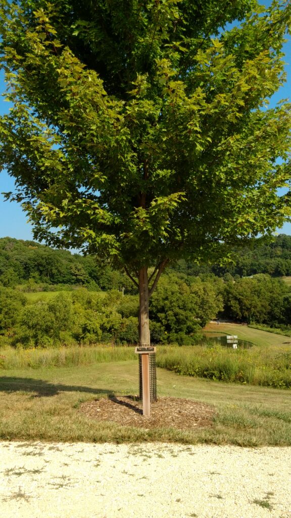In memory of John Hagemann