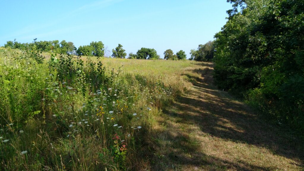 Archery range