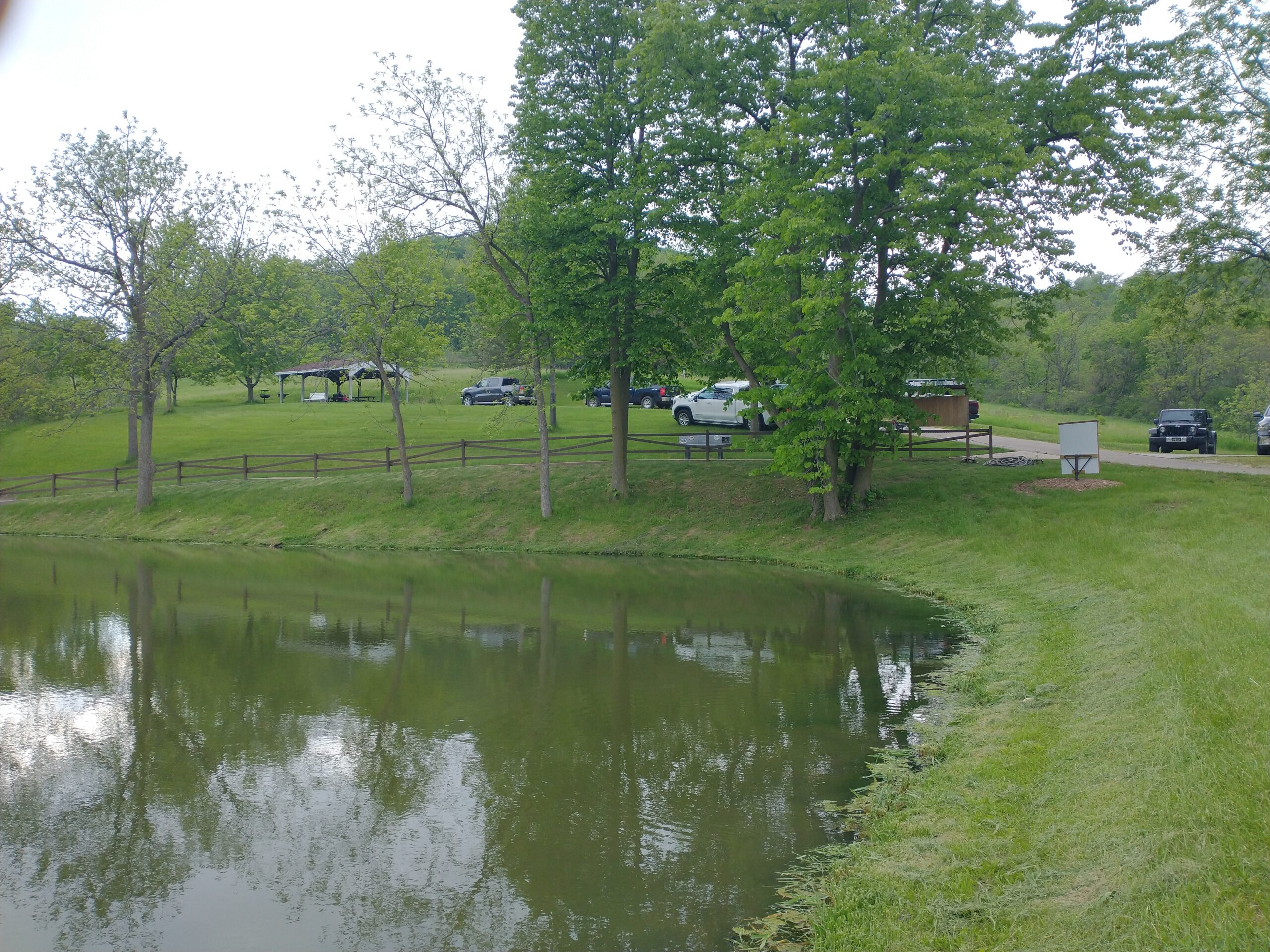 Picture of pond