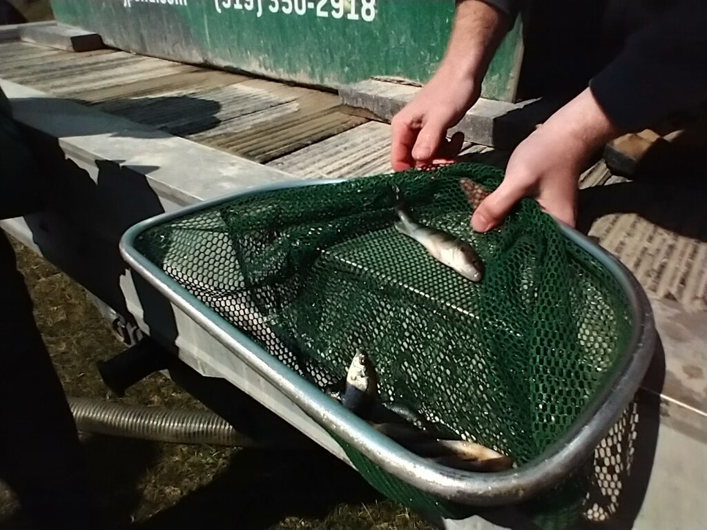 Nice perch